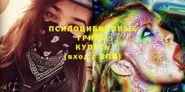 ПСИЛОЦИБИНОВЫЕ ГРИБЫ Бугульма